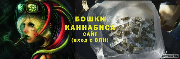 Альфа ПВП Нестеровская