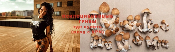 Альфа ПВП Нестеровская